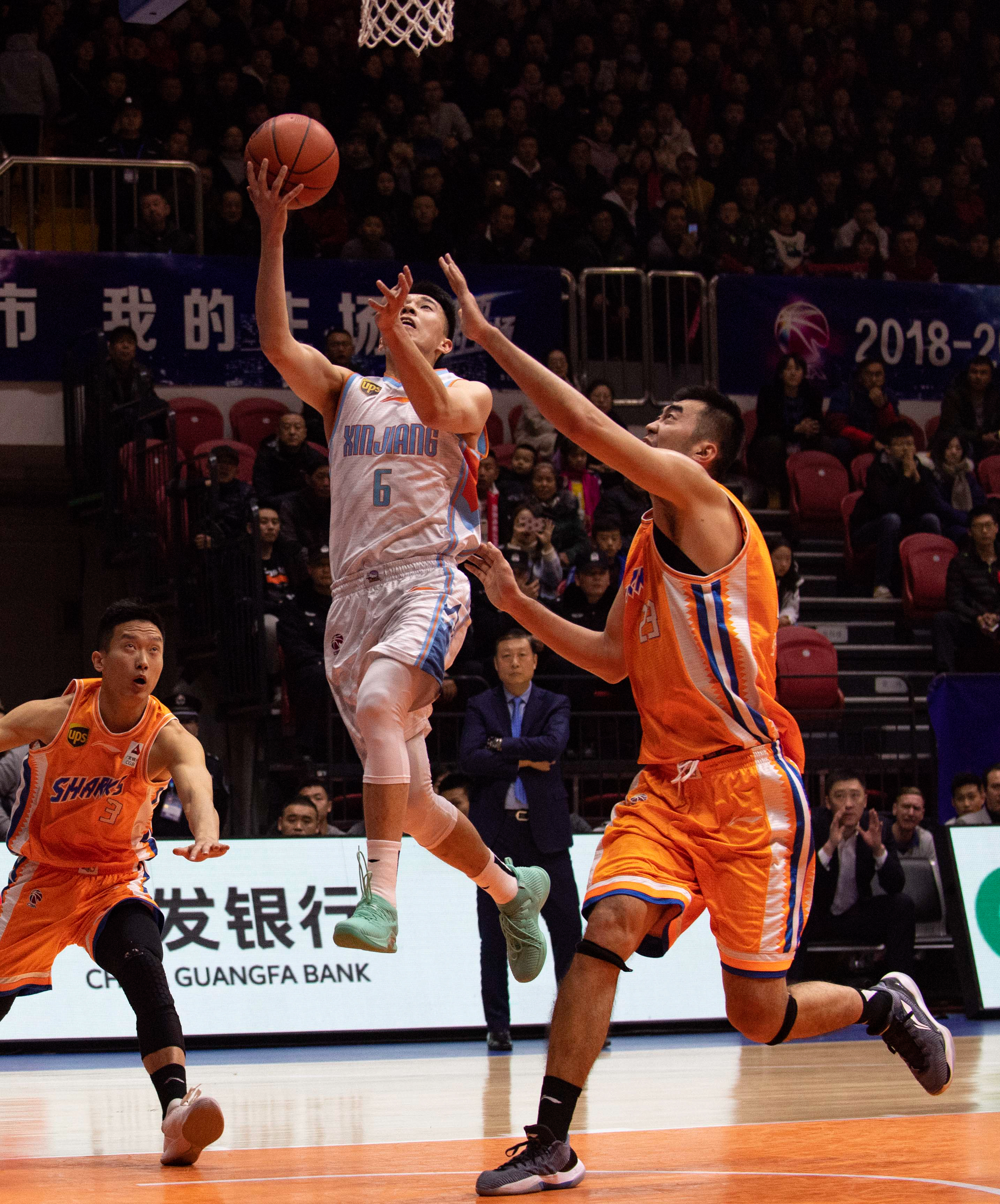 因此尤其引 因此尤其引