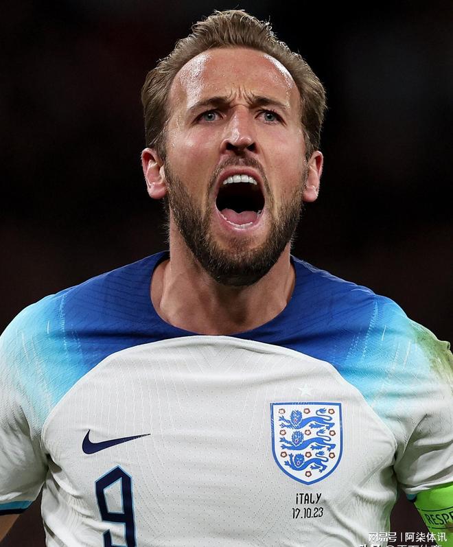 成熟的边翼 成熟的边翼